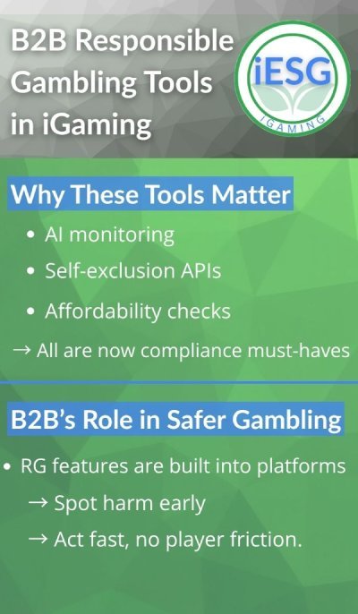 B2B responsible gambling tools infographic