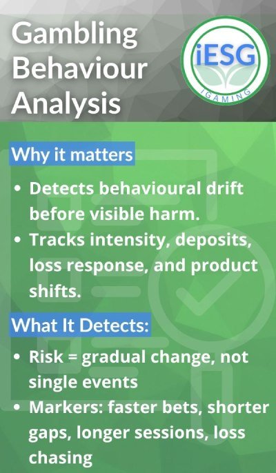 gambling behaviour analysis infographic