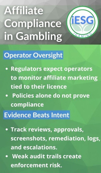 affiliate compliance in gambling infographic